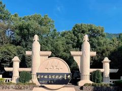 -大奇山国家森林公园