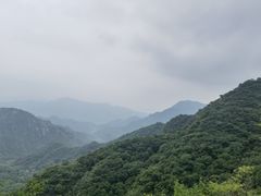 -大岭沟猕猴桃谷风景区