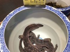-金稼园·金平湖农家菜
