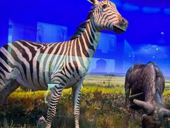 -哈尔滨师范大学(松北校区)