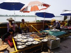 -大湾区中央湿地公园-十九涌