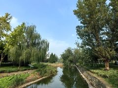 -渭滨公园