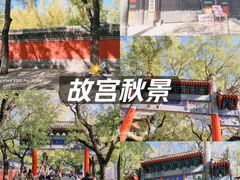 -北京国子监胡同