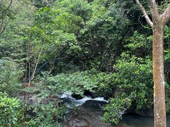 -广州白江湖森林公园