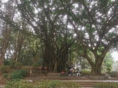 -星海公园(番禺区)