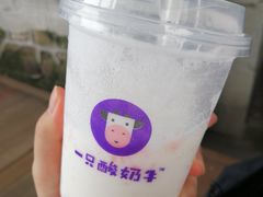 -一只酸奶牛(八一路店)