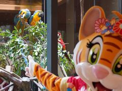 -麒麟中餐厅·经典粤菜·地道菜式老字号(广州长隆酒店)