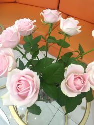 -Flawless skin法思轻奢美肌