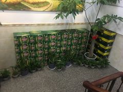 -鑫悦楼煎蟹·16年海鲜大排档