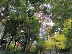 -固生堂中医连锁·推拿正骨·针灸艾灸(崇安寺分院)