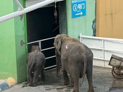 -大连森林动物园