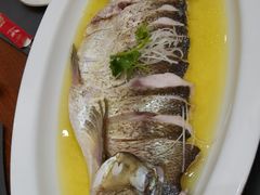 -鲁宴·鲁煨黄河生态大鲤鱼(月坛店)