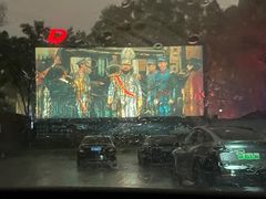 -枫花园汽车电影院(朝阳公园店)