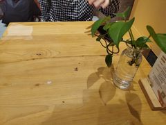 -炖物24章·顺时轻养茶(黄龙店)