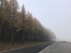 -塞罕坝国家级自然保护区