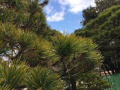 -水前寺成趣园