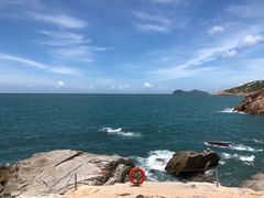 -广东惠东海龟国家级自然保护区