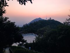 -梧桐山风景名胜区