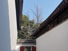 -西园戒幢律寺
