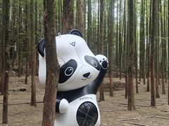 -山王坪喀斯特国家生态公园