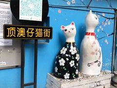 -猫咪博物馆(顶澳仔猫街店)