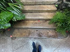 -南山植物园