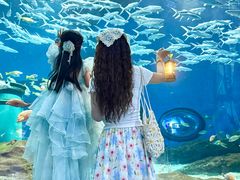 -海合安武汉极地海洋公园