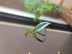 -艾奥尼克咖啡馆(北京市西城区文化创意集聚区店)