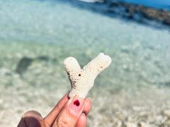 -三亚蜈支洲岛旅游区