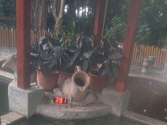 -碧水湾温泉