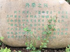 -鹅湖玫瑰文化园