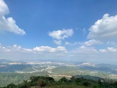 -黄埔油麻山森林公园