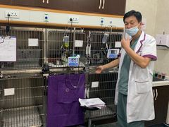 -宠爱国际动物医院·疑难骨科·心肾内科·皮肤科(太阳宫店)