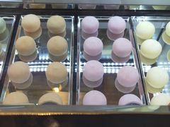 -西树泡芙(北京金源2店)