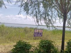 -呼兰河口湿地公园