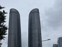 -合景·悠方(成都店)