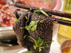 鲜毛肚-电台巷火锅(科华总店)