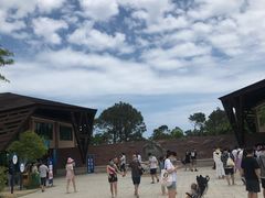 门面-广东惠东海龟国家级自然保护区
