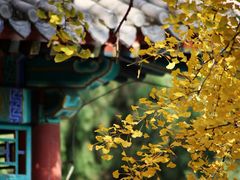 -香山公园