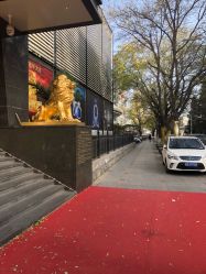 -中国黄金(北京旗舰店)