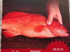 -陶陶居酒家(第十甫路总店)