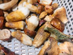 -菌之家·专业纯野生菌火锅·特色炒菌