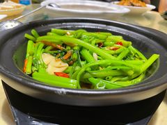 -龙泉人椰子鸡.糟粕醋.海南菜(三亚旗舰店)