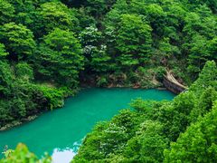 -玉苍山国家森林公园