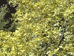 -北平小馆·烤鸭·家常菜(磨房北里店)