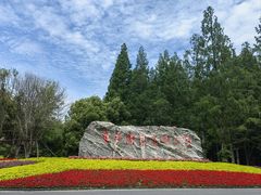-东平国家森林公园