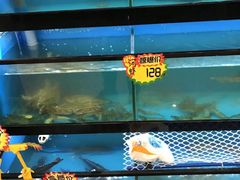 水产区-后宫私房菜(汇客美食娱乐广场店)