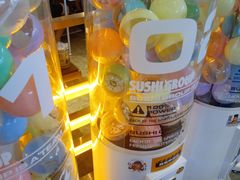 -元气寿司(东方宝泰店)