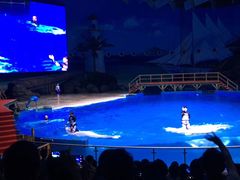 -多彩贵州城极地海洋世界