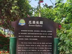 -海上田园